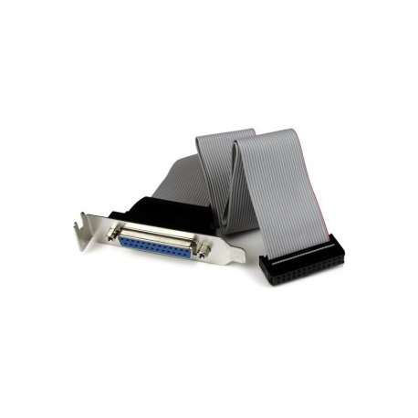 StarTech.com 16in DB25 Parallel Female to IDC 25 Pin Header Slot Plate (PLATE25F16) - Parallel panel - DB-25 (F) to 26 PIN IDC (F) - 40.64 cm - grey - 3