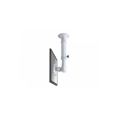 Neomounts by Newstar FPMA-C025 - Bracket - for LCD display - black - screen size: 10"-30" - ceiling mountable - 0