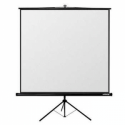 Reflecta CrystalLine Tripod - Projection screen with tripod - 109" (277 cm) - 1:1 - Matt White