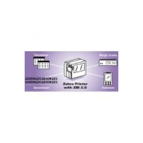 Zebra Basic Interpreter - (v. 2.0) - licence - 1 printer - for GK Series GK420d - 0