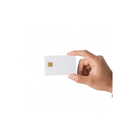 Zebra UHF RFID (Gen2) Card - RF proximity card (pack of 100) - 1