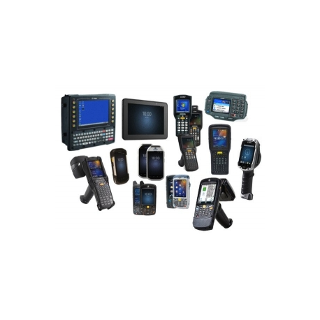 PocketBrowser for Windows CE 4.2 - (v. 2.0) - licence - 1 user - volume - 1-499 licences - Win - 0