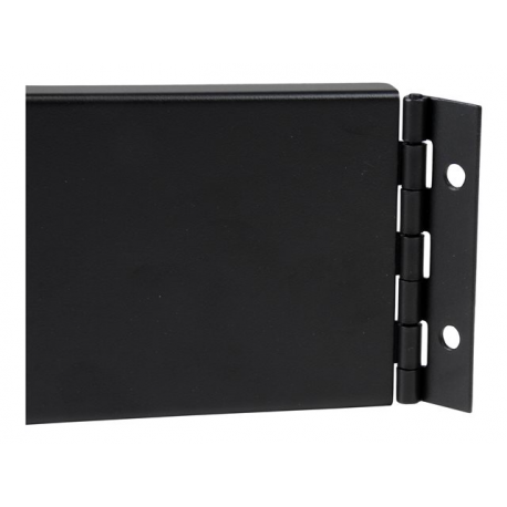 StarTech.com 2U Hinged Rack Panel - Solid Blanking Panel - Tool-less Installation - TAA Compliant Filler Panel - Reversible (RKPNLHS2U) - Blank panel - front - black - 2U - 19" - for P / N: RK2433BKM, RK2537BKM, RK3236BKF, RK4236BKB, RK4242BK24, RK4242BK30, RKQMCAB12V2 - 4