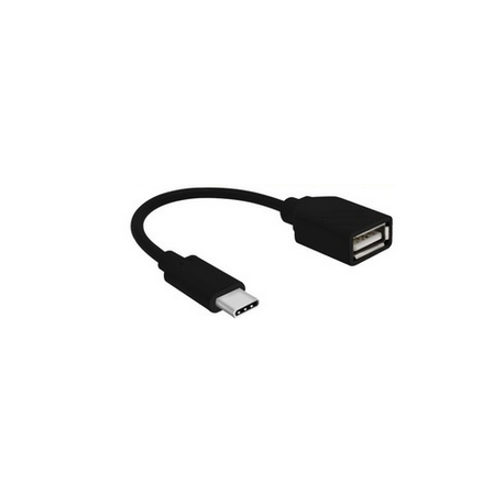 Cablexpert - USB adapter - USB-C (M) to USB (F) - USB 2.0 OTG - 20 cm - 0
