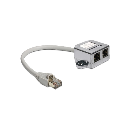 DeLOCK RJ45 Port Doubler - Ethernet 100Base-TX splitter - RJ-45 (M) to RJ-45 (4 pin) (F) - 15 cm - 0