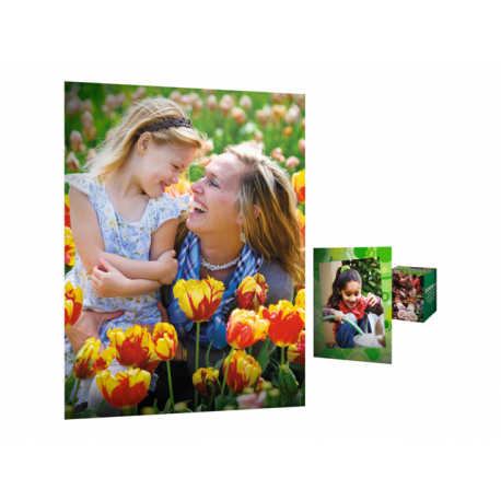 HP Everyday Photo Paper - Glossy - A4 (210 x 297 mm) - 200 g / m² - 100 sheet(s) photo paper - for ENVY 50XX, 76XX; ENVY Inspire 7920; Officejet 52XX, 80XX; Photosmart B110, Wireless B110 - 3