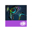 Adobe Premiere Pro CC for teams - Subscription Renewal - 1 device - academic - Value Incentive Plan - Level 3 (50-99) - Win, Mac - Multi European Languages