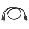 HP Combo - Thunderbolt cable - 70 cm - black - for ZBook 15u G5, 15u G6, 15v G5, 17 G5, 17 G6, Create G7; ZBook Fury 15 G8, 17 G8