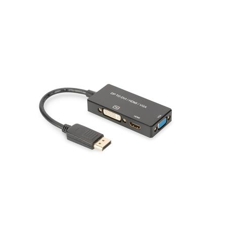 ASSMANN - Adapter - DisplayPort male to DB-15, HDMI, DVI-D female - 20 cm - triple shielded - black - molded, 4K support - 4