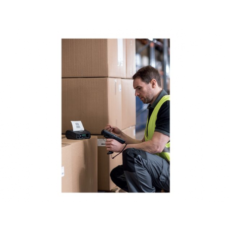 Brother RuggedJet RJ-4230B - Receipt printer - direct thermal - Roll (11.4 cm) - 203 x 203 dpi - up to 127 mm / sec - USB 2.0, Bluetooth 4.2 - 3