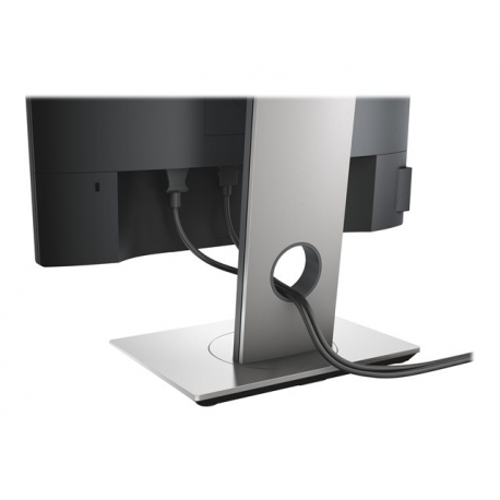 Dell P1917S - LED monitor - 19" - 1280 x 1024 @ 60 Hz - IPS - 250 cd / m² - 1000:1 - 6 ms - HDMI, VGA, DisplayPort - black - for Latitude 7400 2-in-1 - 8