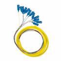 Qoltec Optic Pigtail 12x SC/UPC | SM | 9/125 | 0,9mm | G657A | 2m
