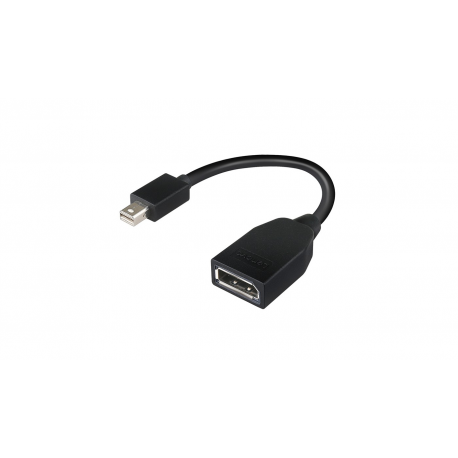 Lenovo - DisplayPort adapter - Mini DisplayPort (M) to DisplayPort (F) - 17.6 cm - for ThinkCentre M70; M80; M90; ThinkStation P330; P330 Gen 2; P34X; P350; P520; P620 - 1