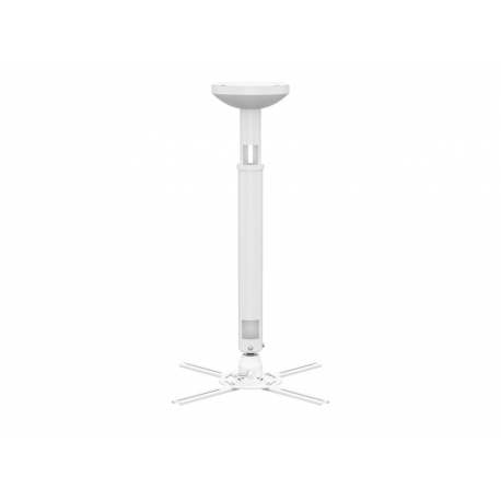 Multibrackets M HD - Bracket - for projector - white - ceiling mountable - 1
