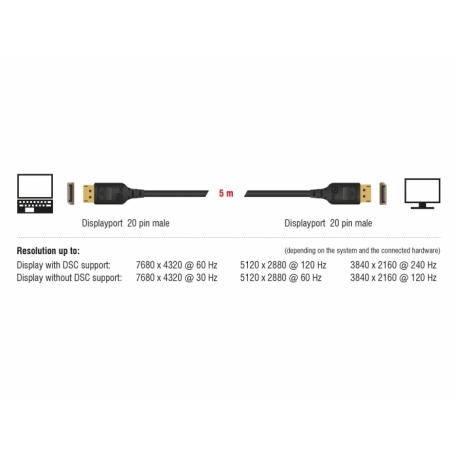 DeLOCK - DisplayPort cable - DisplayPort (M) to DisplayPort (M) - DisplayPort 1.4 - 3 m - 8K support - black - 3