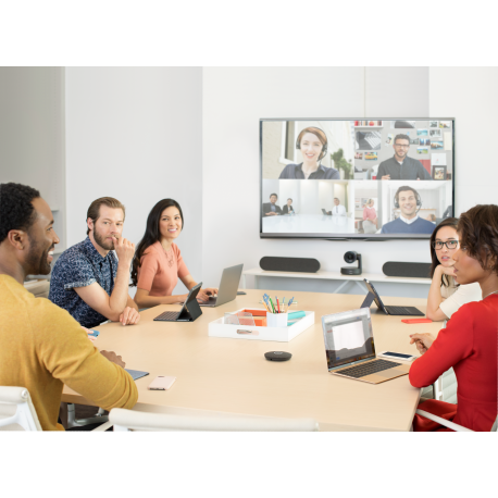 Logitech Rally - Video conferencing kit - 20