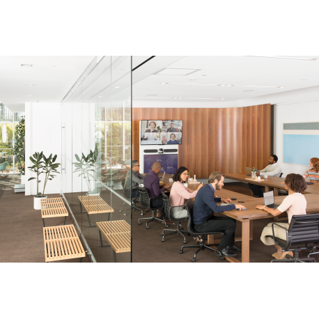 Logitech Rally - Video conferencing kit - 21