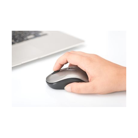 Ednet Notebook Mouse - Mouse - right and left-handed - optical - 3 buttons - wireless - 2.4 GHz - USB wireless receiver - black, antracite - 5