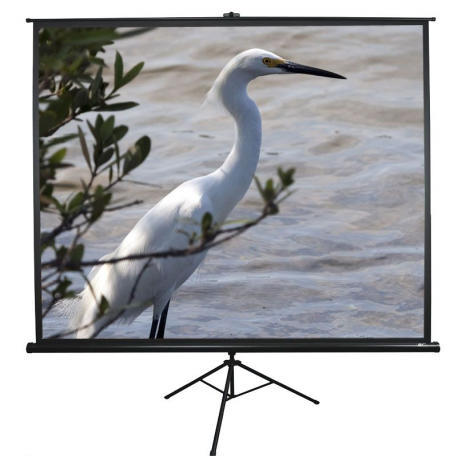 Elite Tripod Series T119UWS1 - Projection screen with tripod - 119" (302 cm) - 1:1 - MaxWhite - black - 3