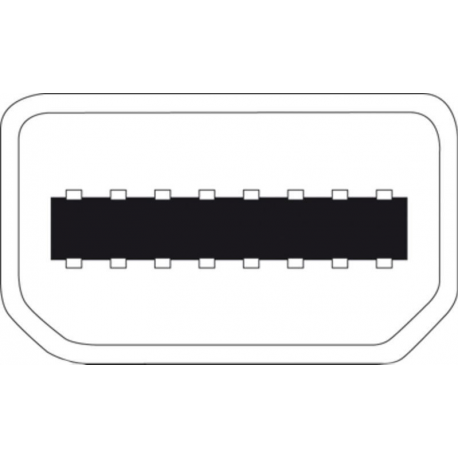 ASSMANN - DisplayPort cable - Mini DisplayPort (M) to DisplayPort (M) - 2 m - molded - white - for Apple iMac; Mac mini; Mac Pro; MacBook; MacBook Air; MacBook Pro - 2