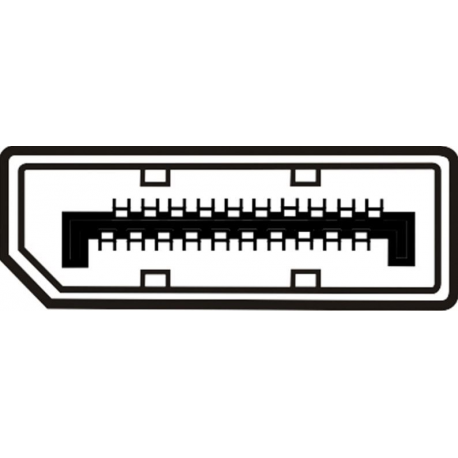 ASSMANN - DisplayPort cable - DisplayPort (M) to DisplayPort (M) - 3 m - molded - black - 1