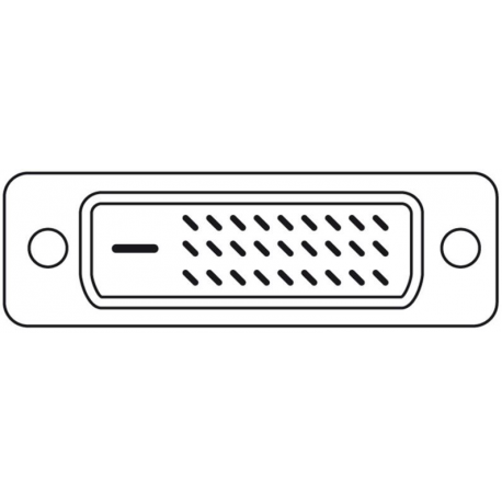 ASSMANN - DisplayPort cable - DisplayPort (M) to DVI-D (M) - 2 m - black - 2