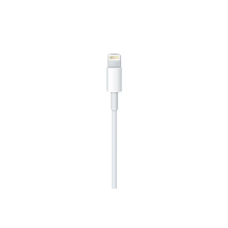 Apple - Lightning cable - Lightning male to USB male - 1 m - for iPad / iPhone / iPod (Lightning) - 2