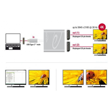 DeLOCK - External video adapter - STDP4320 - USB-C - 2 x DisplayPort - silver - retail - 1