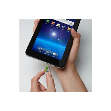 PNY Elite - Flash memory card - 256 GB - A1 / Video Class V10 / UHS Class 1 / Class10 - microSDXC UHS-I - 1