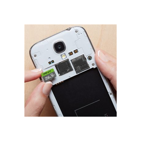 PNY Elite - Flash memory card - 256 GB - A1 / Video Class V10 / UHS Class 1 / Class10 - microSDXC UHS-I - 2