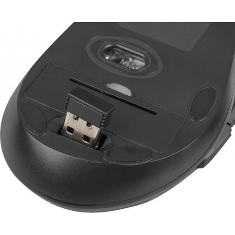 Natec Stingray - Keyboard and mouse set - wireless - 2.4 GHz - black - 9