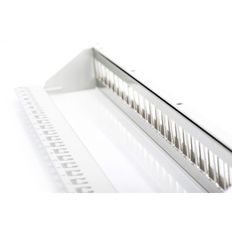 DIGITUS Professional DN-91410 - Patch panel - RJ-45 X 24 - RAL 7035 - 1U - 19" - 2