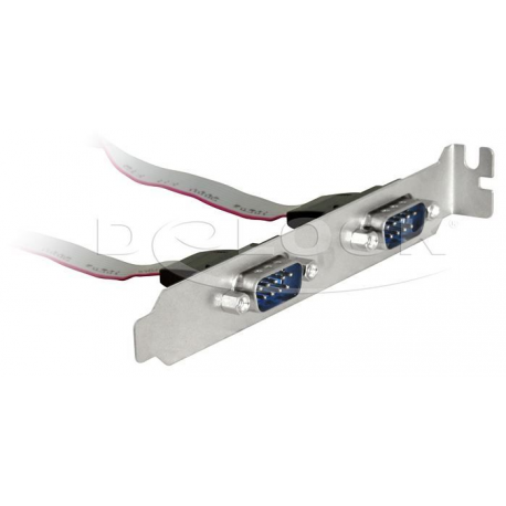 DeLOCK - Serial panel - 9 pin serial header (F) to DB-9 (M) - 1