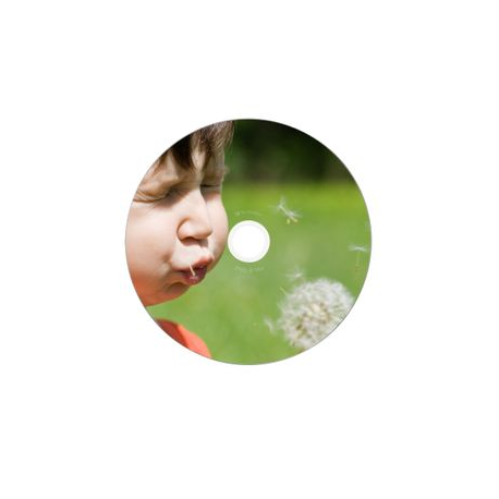 Verbatim - 10 x DVD-R - 4.7 GB 16x - wide photo printable surface - jewel case - 3