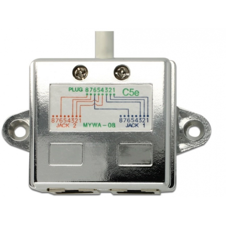 DeLOCK RJ45 Port Doubler - Ethernet 100Base-TX splitter - RJ-45 (M) to RJ-45 (4 pin) (F) - 15 cm - 1