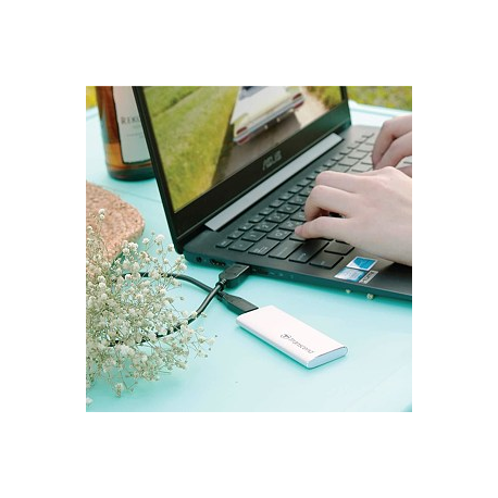 Transcend ESD240C - SSD - 480 GB - external (portable) - M.2 - USB 3.1 Gen 2 (USB-C connector) - silver - 4