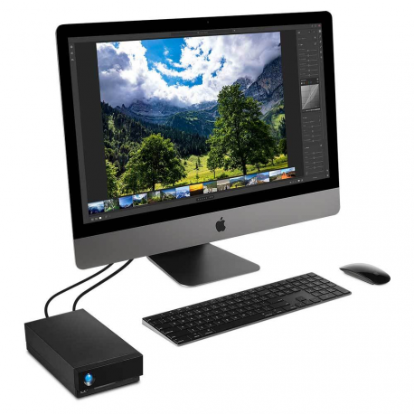 LaCie 1big Dock STHS8000800 - Hard drive array - 8 TB - 1 bays (SATA-600) - HDD 8 TB x 1 - USB 3.1, Thunderbolt 3 (external) - with 5 years Rescue Data Recovery Service Plan - 9