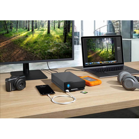 LaCie 1big Dock STHS8000800 - Hard drive array - 8 TB - 1 bays (SATA-600) - HDD 8 TB x 1 - USB 3.1, Thunderbolt 3 (external) - with 5 years Rescue Data Recovery Service Plan - 10