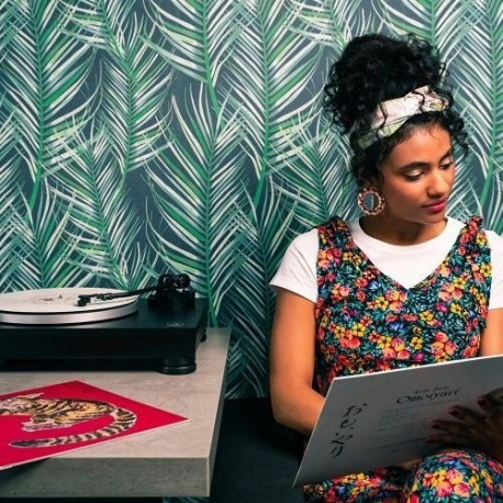 Audio-Technica AT-LP5X - Turntable - matte black - 9