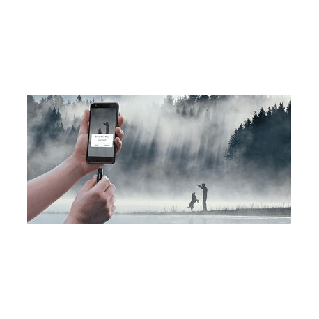 SanDisk Ultra Dual Drive Go - USB flash drive - 256 GB - USB 3.1 Gen 1  /  USB-C - 6