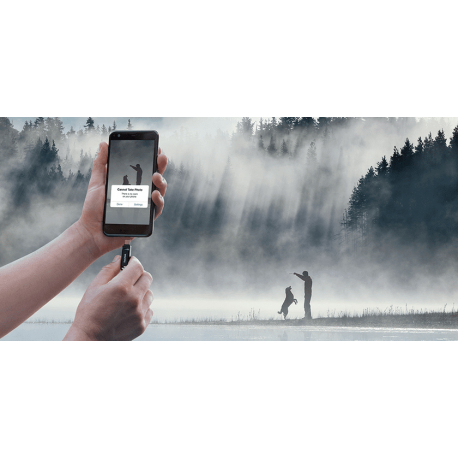 SanDisk Ultra Dual Drive Go - USB flash drive - 256 GB - USB 3.1 Gen 1  /  USB-C - 18