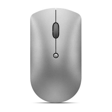 Lenovo 600 Silent - Mouse - right and left-handed - blue optical - 3 buttons - wireless - Bluetooth 5.0 - iron grey - retail - for ThinkCentre M80t Gen 3; ThinkCentre neo 50; ThinkPad T14s Gen 3; V50t Gen 2-13 - 0