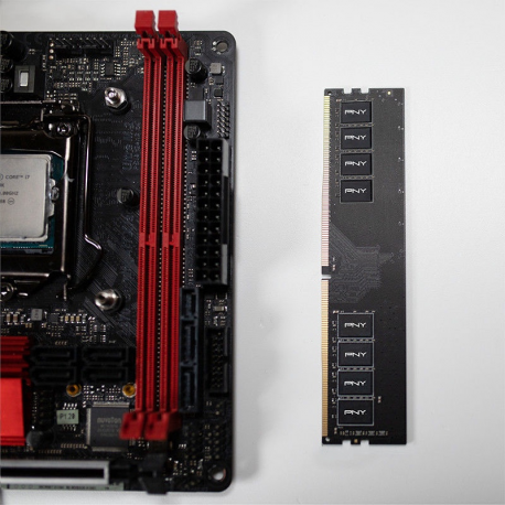PNY - DDR4 - module - 4 GB - DIMM 288-pin - 2666 MHz  /  PC4-21300 - CL19 - 1.2 V - unbuffered - non-ECC - 3