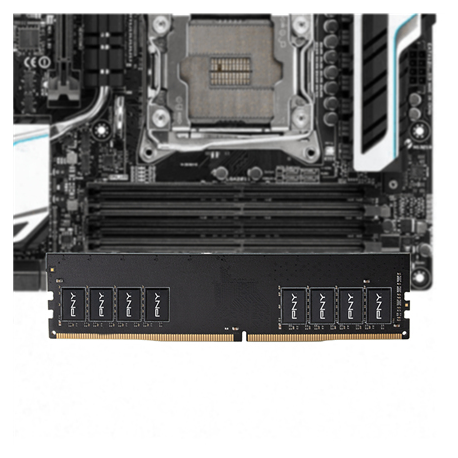 PNY - DDR4 - module - 4 GB - DIMM 288-pin - 2666 MHz  /  PC4-21300 - CL19 - 1.2 V - unbuffered - non-ECC - 8