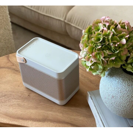 Bang & Olufsen Beolit 20 - Speaker - for portable use - wireless - Bluetooth - 70 Watt - 2-way - grey mist - 14