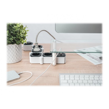 DIGITUS DA-70620 - Power strip - AC 250 V - 3680 Watt - input: power - output connectors: 4 (2 x USB, 4 x power) - 1.6 m cord - black, white - 7