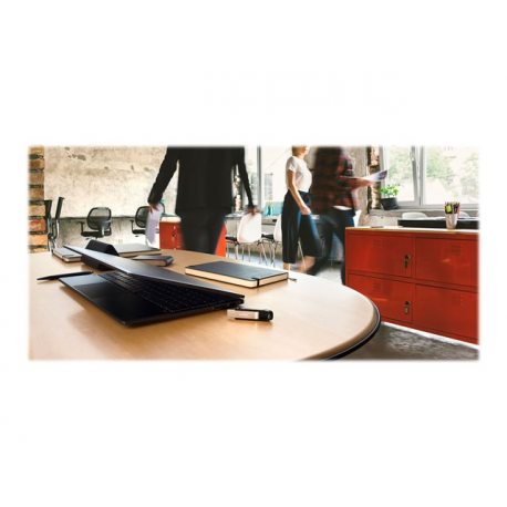 SanDisk Extreme Go - USB flash drive - 256 GB - USB 3.2 Gen 1 - 8