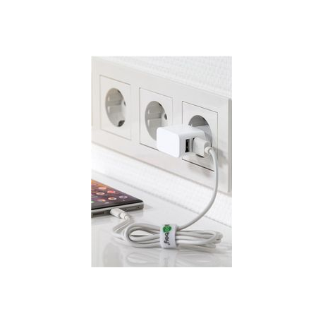 goobay Dual USB charger - Power adapter - 12 Watt - 2.4 A - 2 output connectors (USB) - white - 1