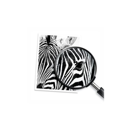 HP 305XL - 5 ml - High Yield - colour (cyan, magenta, yellow) - original - ink cartridge - for Deskjet 23XX, 27XX, 41XX; DeskJet Plus 41XX; Envy 60XX, 6420; ENVY Pro 64XX - 6