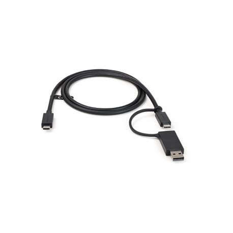StarTech.com 3ft (1m) USB C Cable w / USB-A Adapter Dongle, Hybrid 2-in-1 USB C Cable w / USB-A | USB-C to USB-C (10Gbps / 100W PD), USB-A to USB-C (5Gbps), USB-A Host to USB-C DisplayLink Dock - Ideal for Hybrid Dock (USBCCADP) - USB cable - USB-C (M) to USB-C (M) - 1 m - USB Power Delivery (100W) - for P / N: DKM30CHDPD - 2